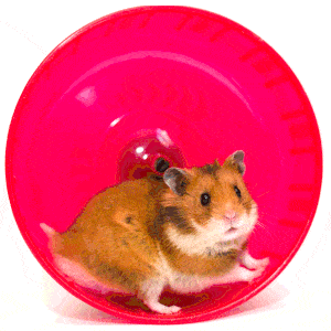 get off the content creation hamster wheel
